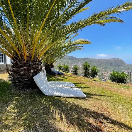 בית נופש Palm Tree House