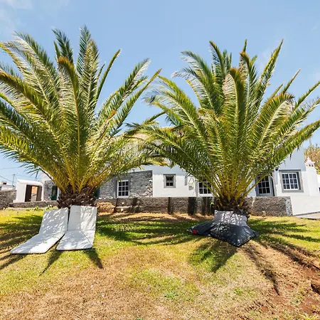 בית נופש Palm Tree House *