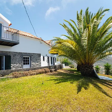 別荘 Palm Tree House