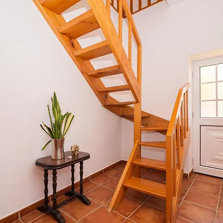 בית נופש Palm Tree House